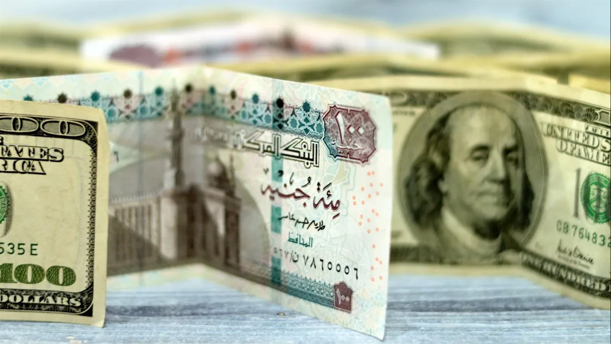 سعر الدولار اليوم مقابل الجنيه المصري — SA news