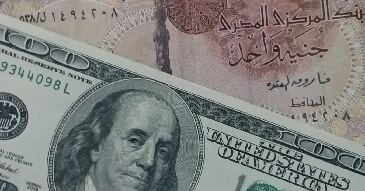 جنيه مصري — SA news