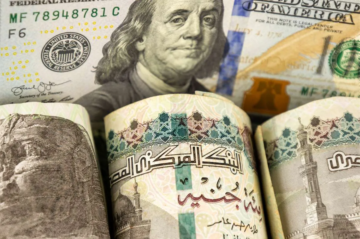 سعر — SA news